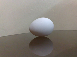 1 Egg